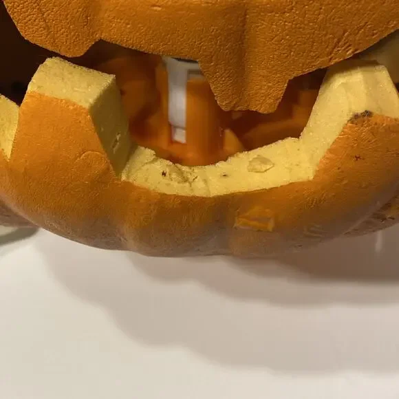 • - Picture 8 of 11